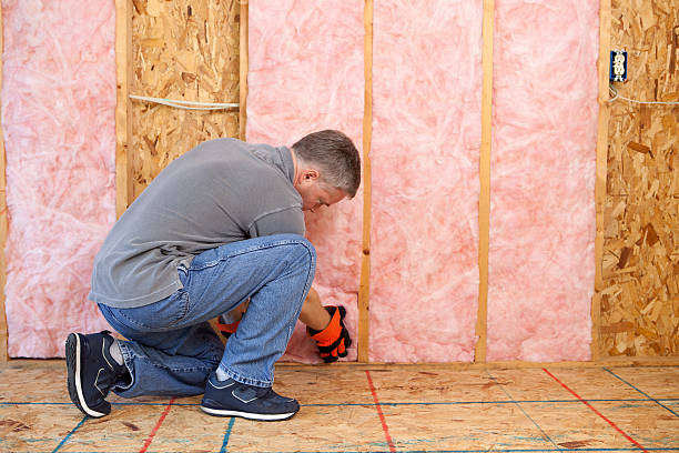 Best Geographic-Specific Insulation Services in Lima, OH